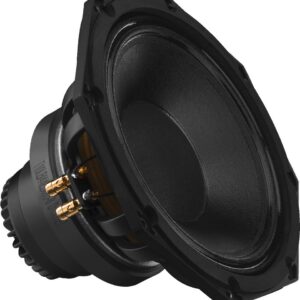 SP-310CX 2-way coaxial PA speaker, with integrated horn tweeter.
